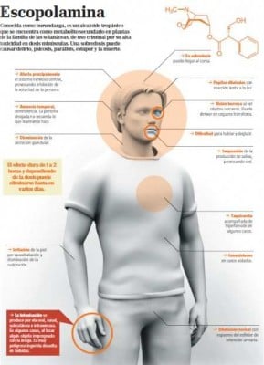 escopolamina - La escopolamina ataca en Cali