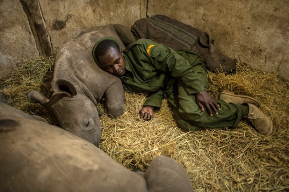 Ami-Vitale_02 - Los rinocerontes ahora necesitan escoltas
