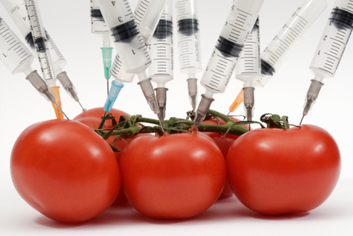 Syringe needles pushed into tomatoes - La revuelta de los paperos: una rebelión que nace del hambre