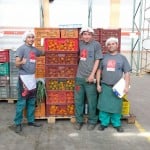  - ¿Quién se come las frutas magulladas y los enlatados que desechan los supermercados?