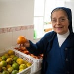  - ¿Quién se come las frutas magulladas y los enlatados que desechan los supermercados?