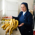  - ¿Quién se come las frutas magulladas y los enlatados que desechan los supermercados?