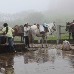  - La revolución de la leche en el Cauca
