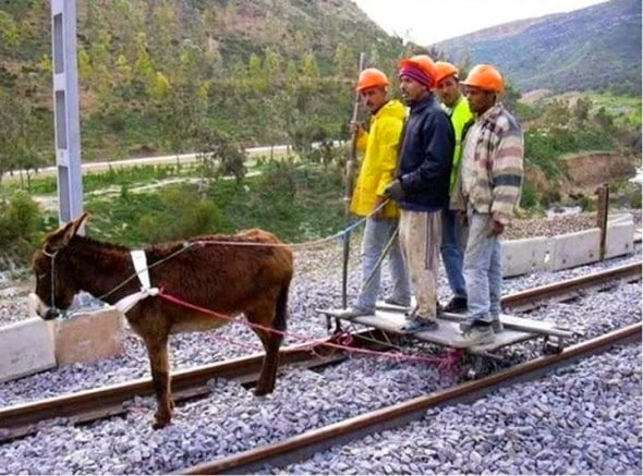 ¿Cuál locomotora de ciencia e innovación?