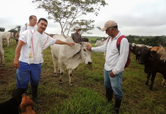 Mayoyoque, incrustada en la selva profunda, vence la ilegalidad