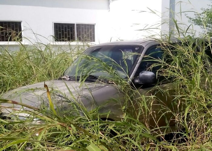 La selva en la alcaldía de Purísima, Córdoba