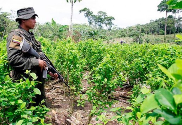 Grupos ilegales usan límites del Huila y Caquetá para financiar a las FARC