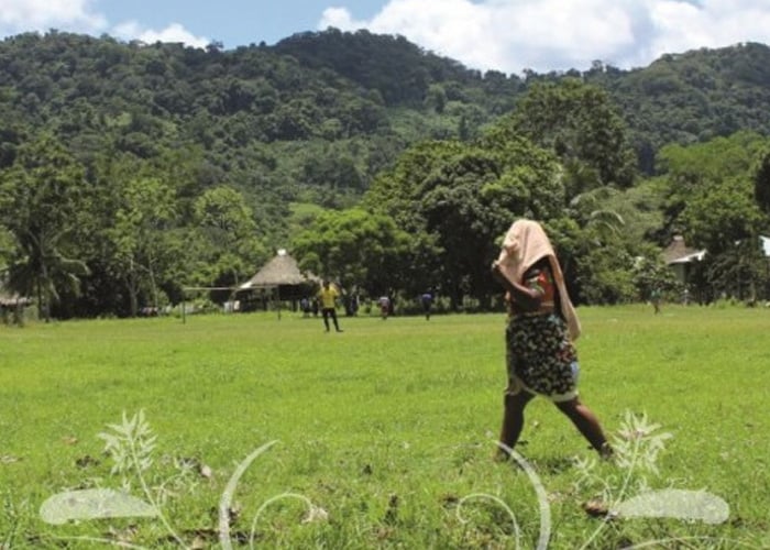 Indígenas, campesinos y afros le dicen Sí a la paz