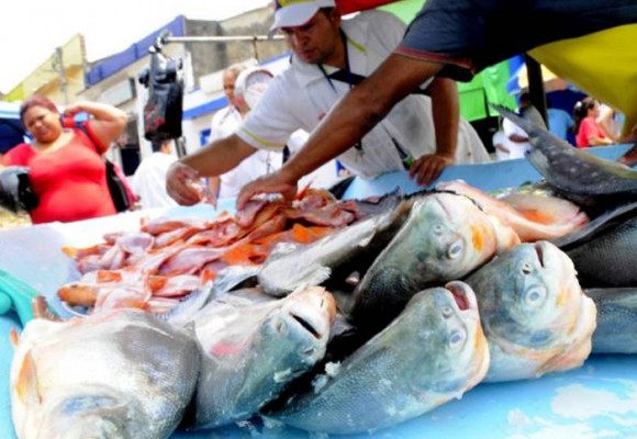 “Con el Orinoco al lado y ya ni pescado se puede comer en Vichada”