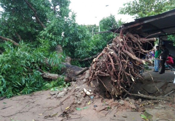 Video: Vendaval destruye Puerto Carreño, Vichada