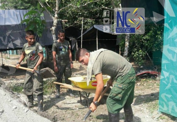 Farc ayudan a construir su zona veredal en Putumayo