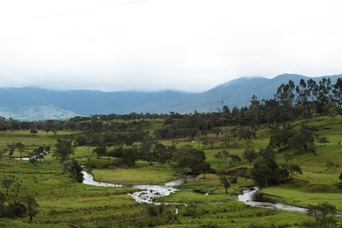  - Anglo Gold y Continental quieren la mina en donde nace el 70% del agua de Colombia