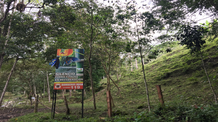  - Parece innegable la deforestación en Alaska (Valle de Cauca)