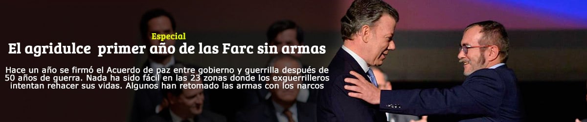  - Especial: El agridulce primer año de las Farc sin armas