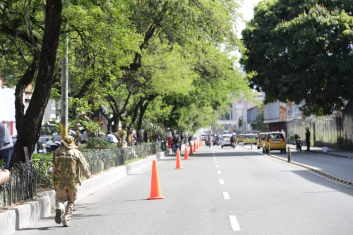  - Árboles vs. cemento: los paisas quieren convertir su ciudad en una de las más verdes del mundo