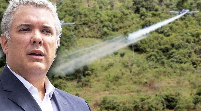  - Regresan las fumigaciones de glifosato: Duque vs. científicos