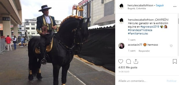  - Hércules, el caballo consentido de Maluma, fue el rey de Agroexpo 2019