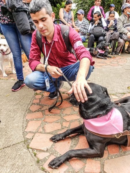  - La marcha de los ciegos y sus perros guía en Bogotá