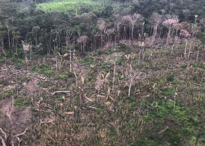 El Amazonas colombiano también se quema