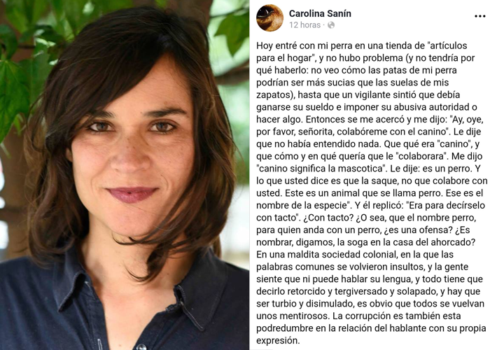 En defensa de la pedagogía de Carolina Sanín