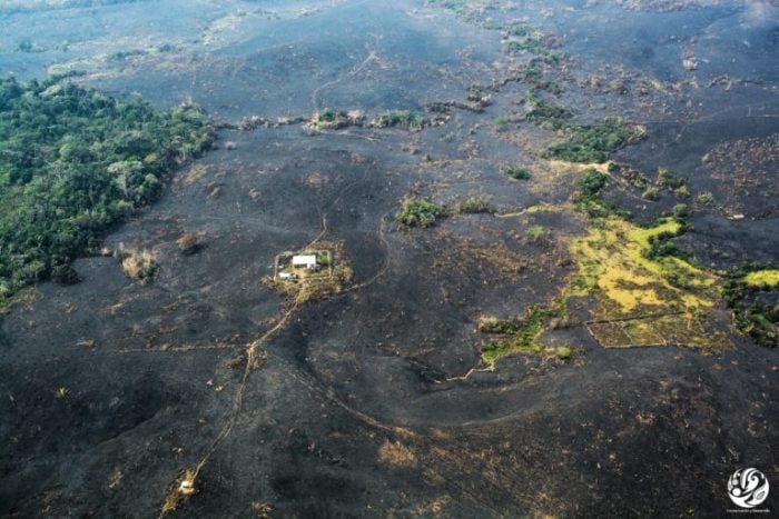  - La agonía del Tinigua, el santuario natural de Caño Cristales