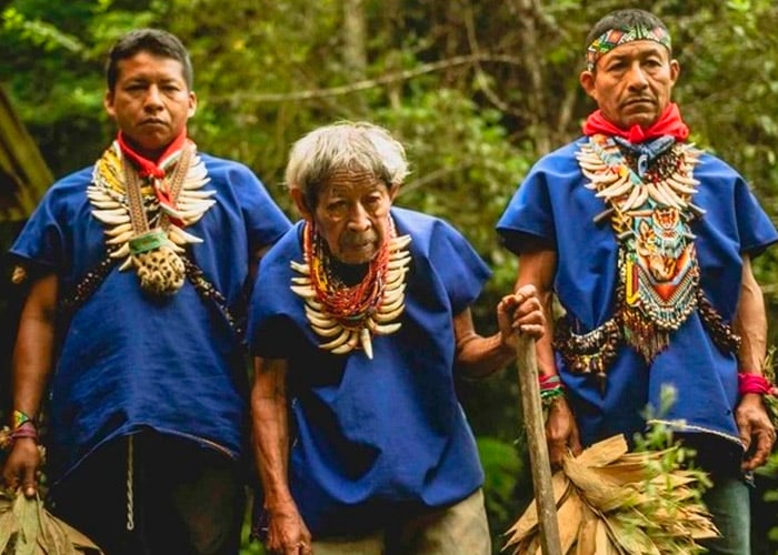 Taitas del Amazonas le dicen basta a los impostores del Yagé