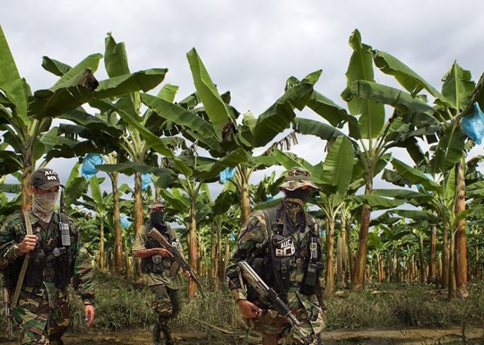 Sobre la relación entre el sector bananero y los paramilitares en Colombia