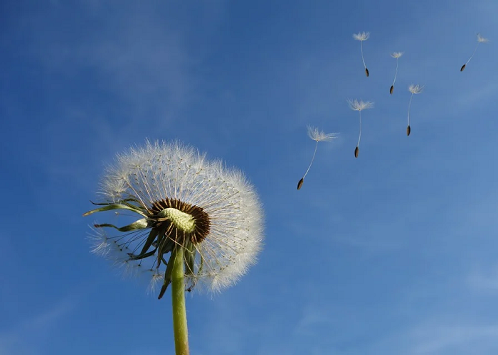 En tiempos difíciles, las respuestas están en el viento