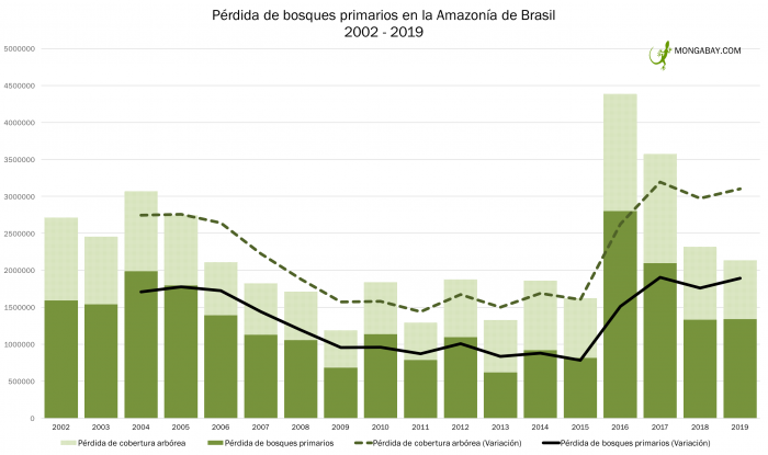  - Colombia, en el top de los países que más tumban bosques