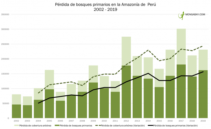  - Colombia, en el top de los países que más tumban bosques