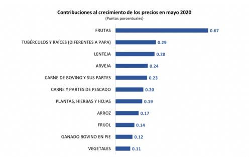  - Precios agropecuarios se dispararon en mayo en Colombia