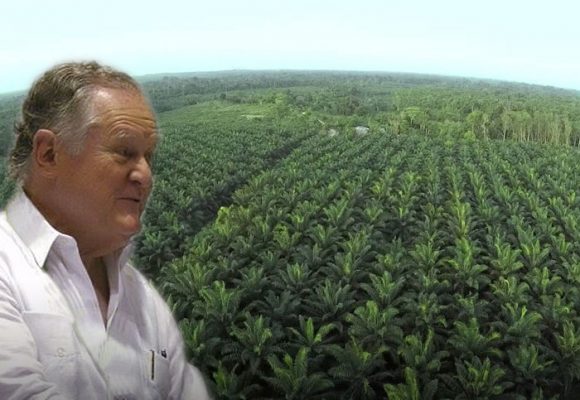 Las 30 mil hectáreas de Sarmiento Angulo en los Llanos Orientales