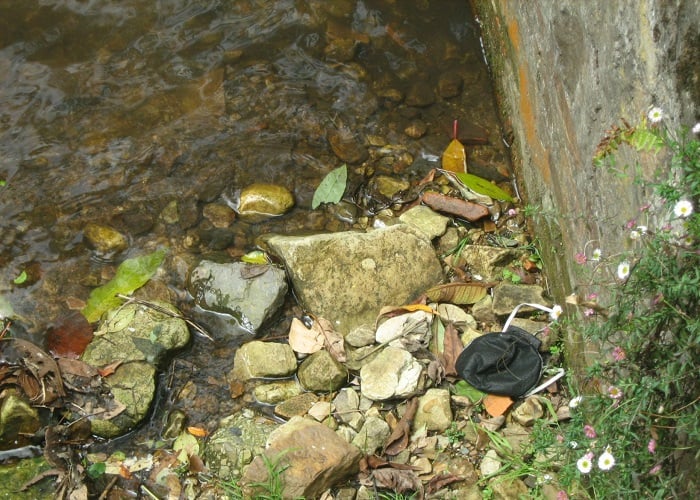 ¿Quién botó este tapabocas a la quebrada La Vieja en Bogotá?