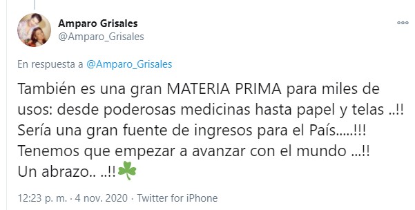  - Tremenda peinada le ha pegado Amparo a Vicky por el tema de la marihuana