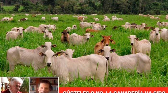  - “La ganadería no es la causa de los males del campo colombiano”