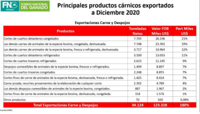  - Rusia entre los países que más compra carne colombiana