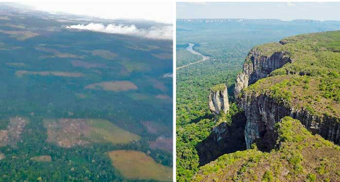  - Chiribiquete, una joya asolada por la deforestación