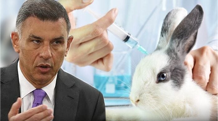  - Fin al sufrimiento de conejos, ratones, monos y perros por pruebas cosméticas
