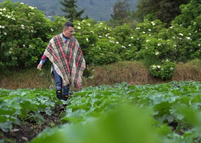 Los cien billones que se destinarán para mejorar el campo