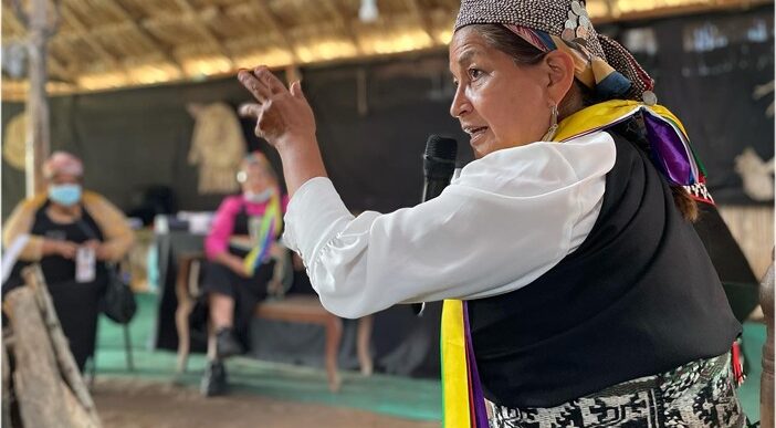 chile - Elisa Loncón, la indígena mapuche que preside la convención para la nueva constitución de Chile