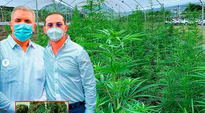  - El médico millonario que convenció a Duque de la marihuana medicinal