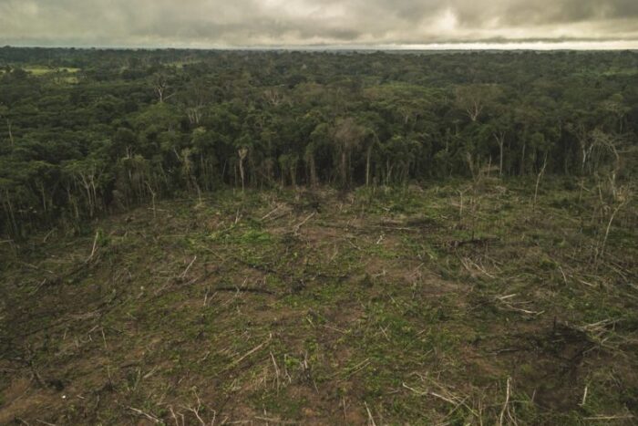  - Colombia se rajó en lo ambiental este año: deforestación, líderes asesinados y áreas amenazadas