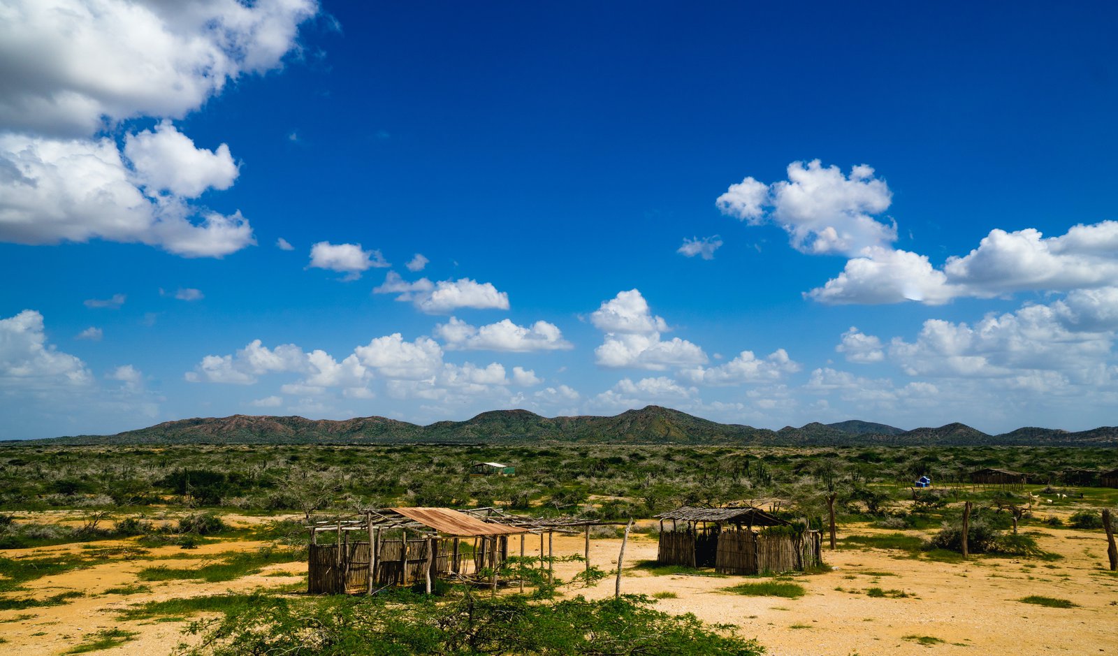  - La fiebre por el viento de La Guajira