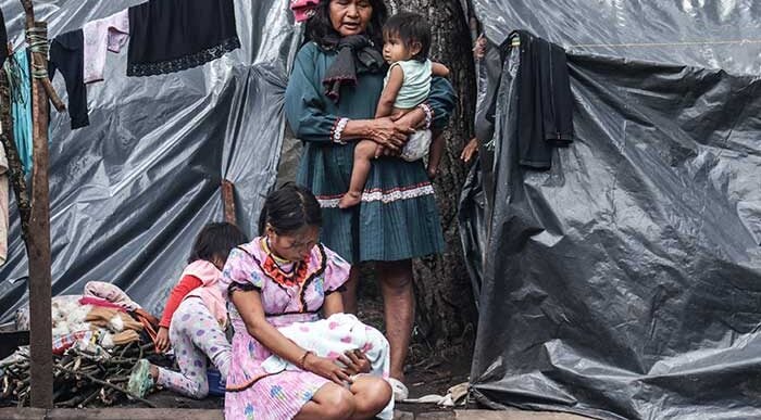  - Ser partera en el Parque Nacional: la difícil tarea de una emberá en Bogotá