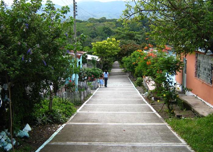 A qué se debe la pobreza en municipios del norte del Tolima. Parte 2