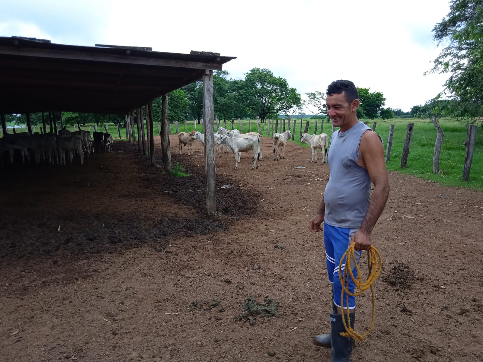  - Lo que más apasiona a un campesino rodeado de ciénaga y ganado