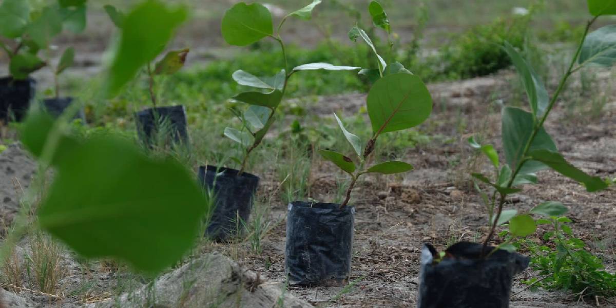  - Lanzan proyecto multilateral contra la erosión en Ciénaga