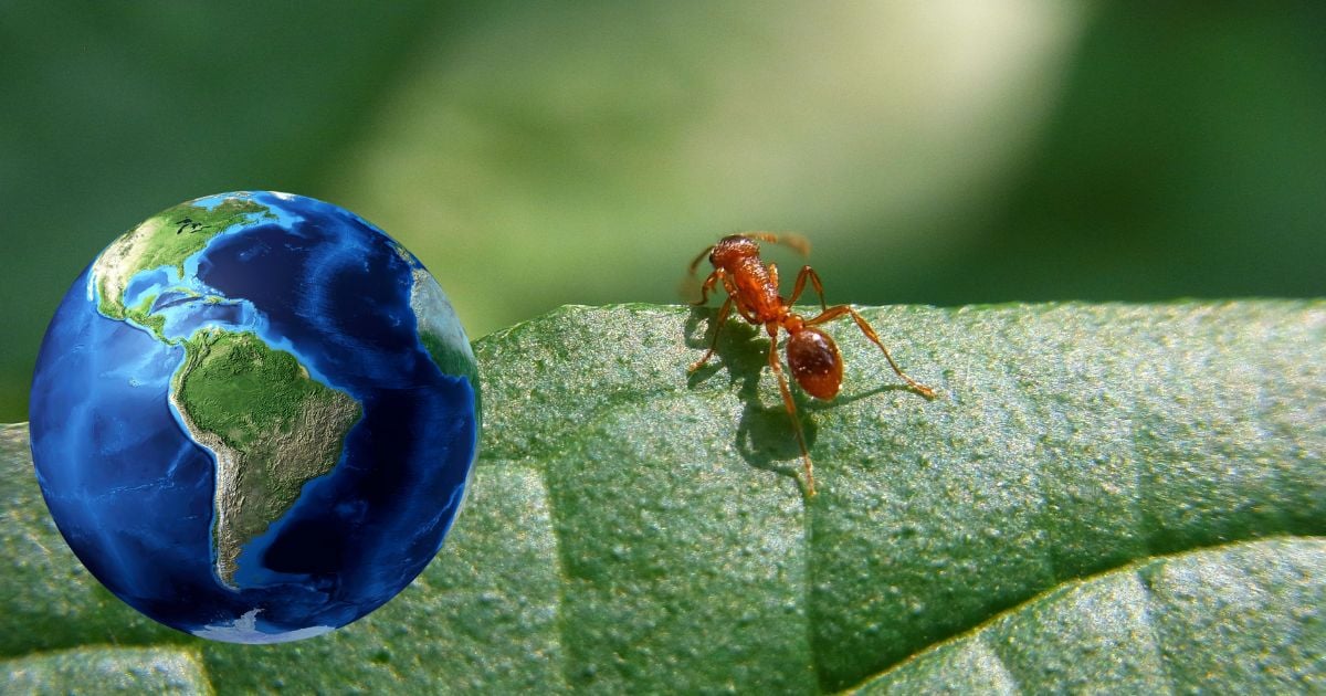  Por qué América Latina es soporte en medioambiente