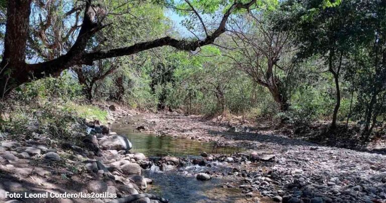 Acceso al agua en La Guajira - ¿Solución a la crisis de acceso al agua en La Guajira?