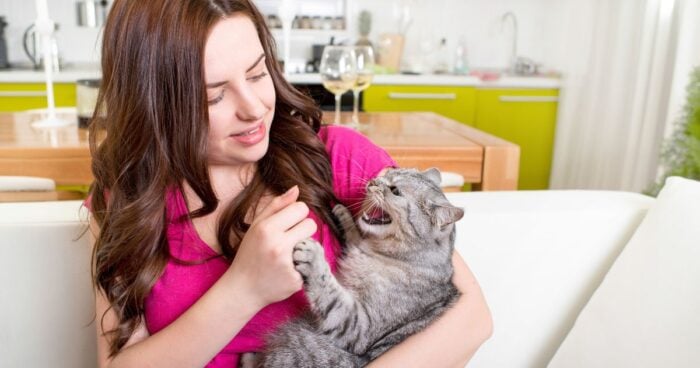  - ¿Cómo saber si le caigo mal a un gato? Conozca las señales